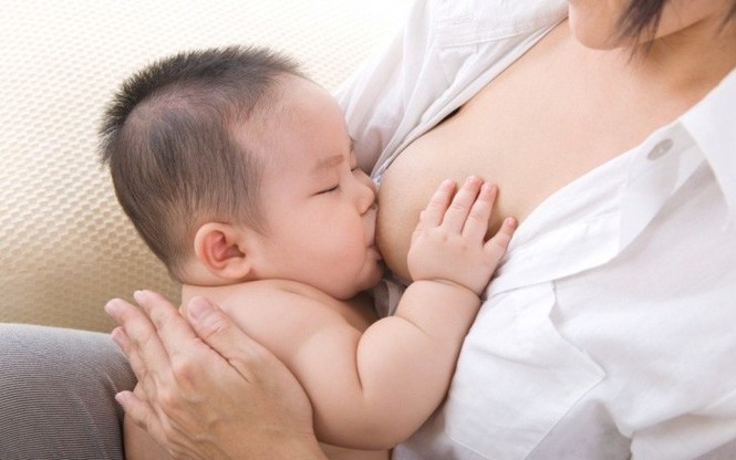 Rau mồng tơi chữa yếu sinh lý, đau xương khớp, tiểu đường - ảnh 1