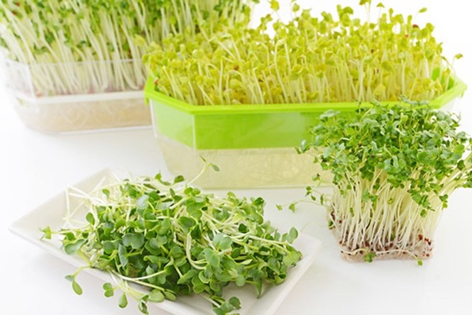 Thực phẩm ngon, bổ nhưng đứng đầu bảng gây ngộ độc, nhiều người không hề biết - ảnh 1