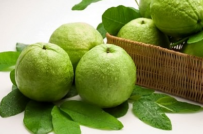 Những người đại kỵ với ổi, tuyệt đối đừng ăn vì cực độc - ảnh 3