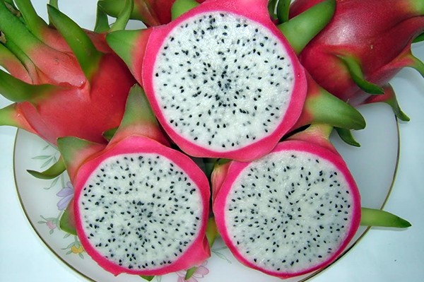 Những người này ăn thanh long cực kỳ nguy hiểm, cần biết mà tránh - ảnh 2