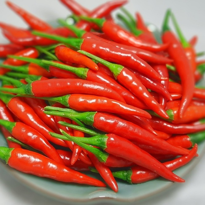 Không thể ngờ 'thần dược' chống ung thư bán đầy chợ Việt, giá 'rẻ như bèo' - ảnh 1