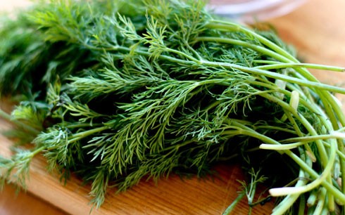Không thể ngờ 'thần dược' chống ung thư bán đầy chợ Việt, giá 'rẻ như bèo' - ảnh 3