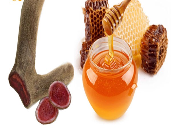 Những người đại kỵ với nhung hươu, đừng ăn kẻo 'thần dược' thành thuốc độc - ảnh 2