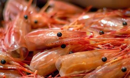 Ăn tôm kiểu này như 'hạ độc' cơ thể, biết mà tránh kẻo ân hận mấy cũng muộn - ảnh 2