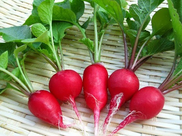 Những loại rau củ rẻ bèo vừa chống ung thư, vừa tốt cho gan thận - ảnh 1
