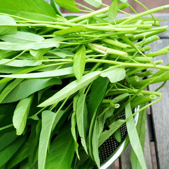 Rau muống: Cực tốt và cực độc, biết mà tránh khi ăn kẻo 'rước họa vào thân' - ảnh 2