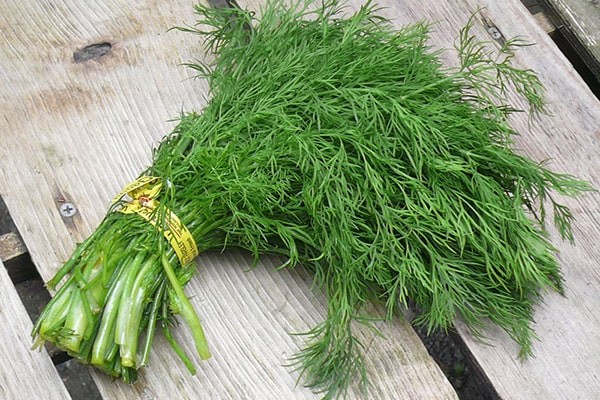 Rau thì là chữa nhiều bệnh hiệu quả, còn là 'Viagra' thiên nhiên cho quý ông - ảnh 1
