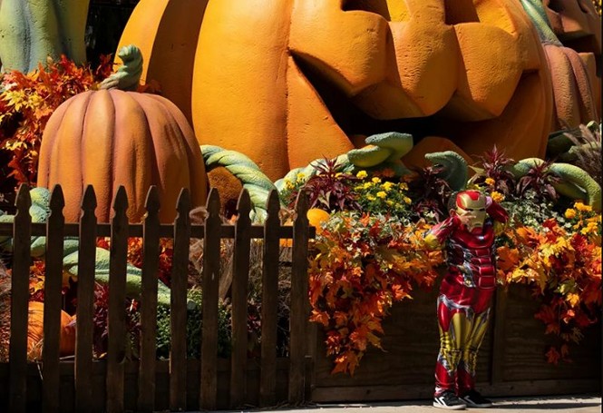 Khám phá không khí chuẩn bị lễ hội Halloween ở một số quốc gia trong mùa COVID-19 - ảnh 2
