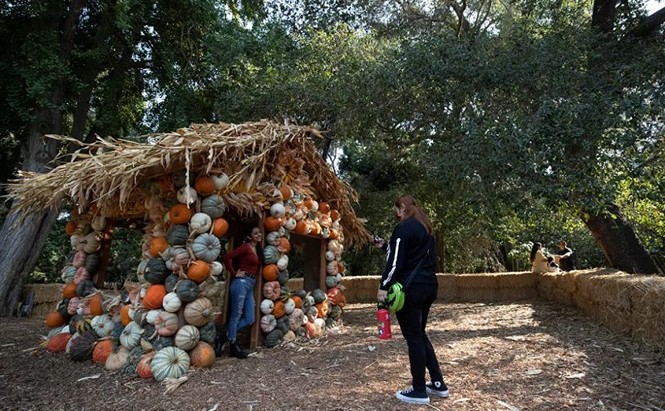 Khám phá không khí chuẩn bị lễ hội Halloween ở một số quốc gia trong mùa COVID-19 - ảnh 4