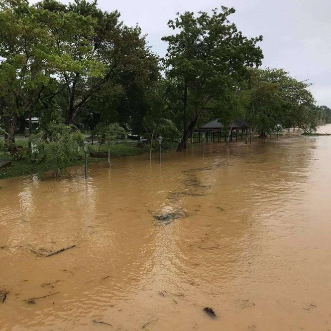 Thành phố Huế ngập sâu trong biển nước, dự đoán lũ sẽ còn tiếp tục kéo dài nhiều ngày tới - ảnh 3