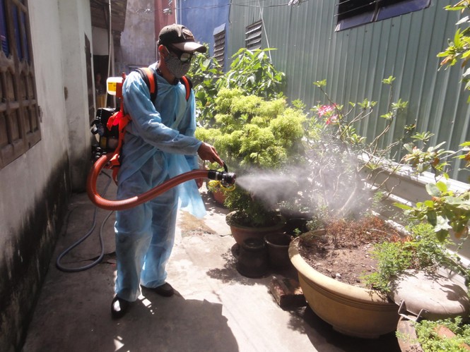 Số ca sốt xuất huyết ở Đà Nẵng tăng gấp 3 lần - ảnh 1