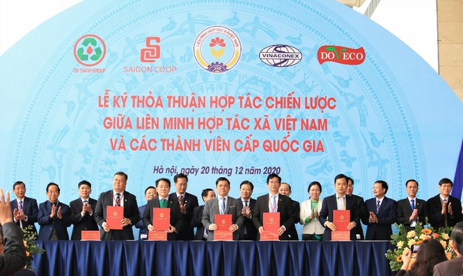 Phó Thủ tướng dự triển lãm kinh tế tập thể, hợp tác xã lớn nhất từ trước đến nay - ảnh 2