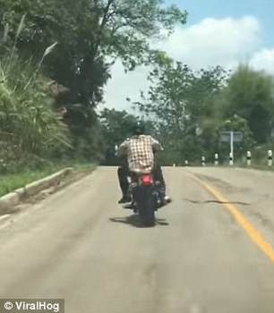 Giật mình rắn tung mình đớp chân người đi xe máy - ảnh 1
