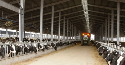 TH true MILK đoạt giải Trang trại tốt nhất Việt Nam - ảnh 1