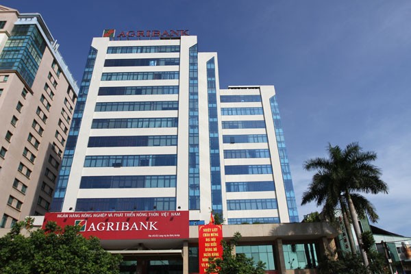 Agribank giữ vững vai trò chủ đạo trên thị trường tài chính nông thôn - ảnh 2