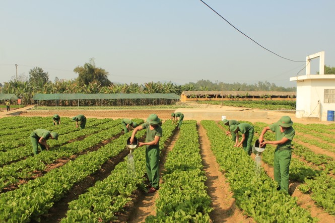 Cuộc sống ngày đầu của những chiến sĩ mới nhập ngũ - ảnh 12