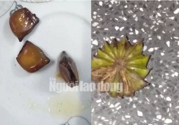 3 người ‘ra đi’ sau khi uống rượu ngâm hạt chân chó - ảnh 2