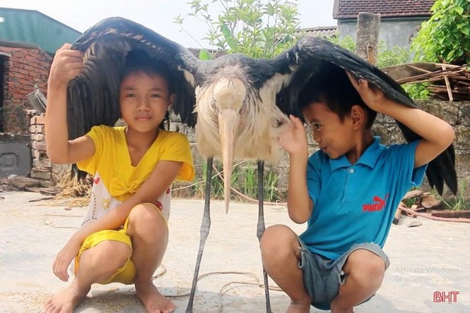 Bản tin 8H: Người nhà đưa thi thể nạn nhân để giữa đường, vu vạ cho CSGT - ảnh 1
