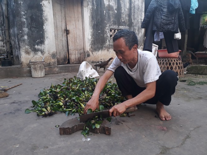 Ngày 25/4, “tử tù” Hàn Đức Long được công khai xin lỗi - ảnh 1