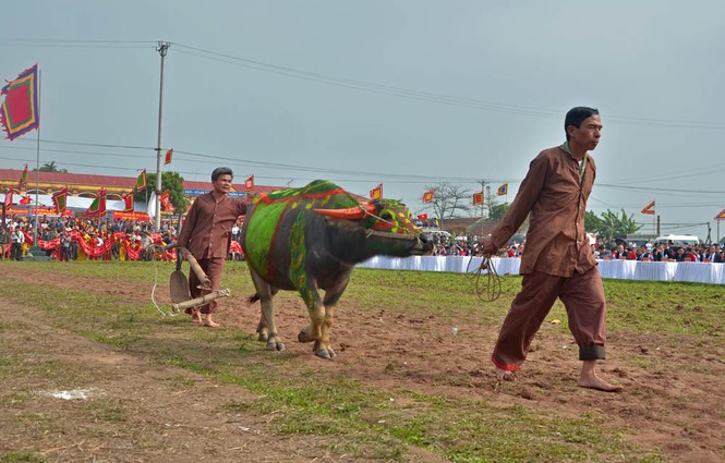 Khai hội Tịch điền Đọi Sơn - ảnh 10