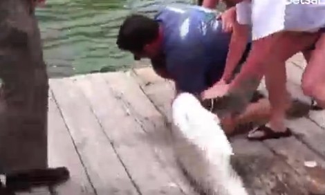 10 video ‘hot’: Nữ quái trộm tiền siêu nhanh trong cửa hàng đồ lót - ảnh 5