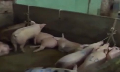10 video ‘hot’: Nữ quái trộm tiền siêu nhanh trong cửa hàng đồ lót - ảnh 3