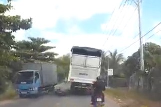 Hai tên 'cẩu tặc' trèo tường vào nhà trộm chó - ảnh 3