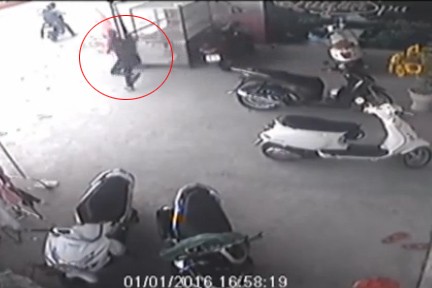 Hai tên 'cẩu tặc' trèo tường vào nhà trộm chó - ảnh 4
