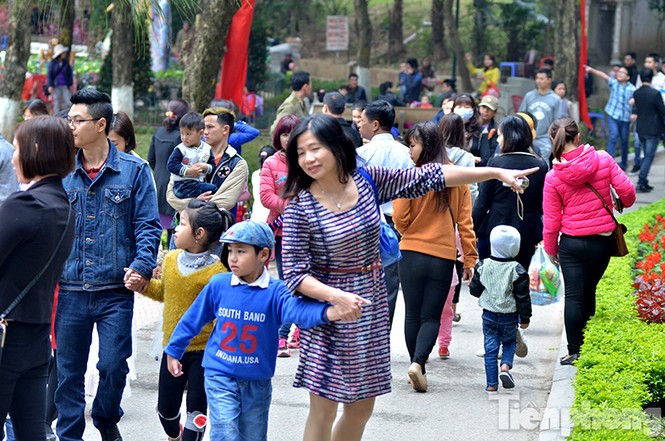 Xếp hàng dài chờ xin chữ ở Văn Miếu ngày Tết - ảnh 7