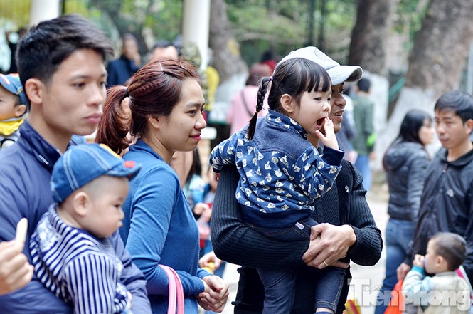 Xếp hàng dài chờ xin chữ ở Văn Miếu ngày Tết - ảnh 9