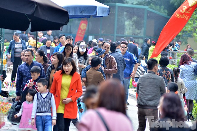 Xếp hàng dài chờ xin chữ ở Văn Miếu ngày Tết - ảnh 8