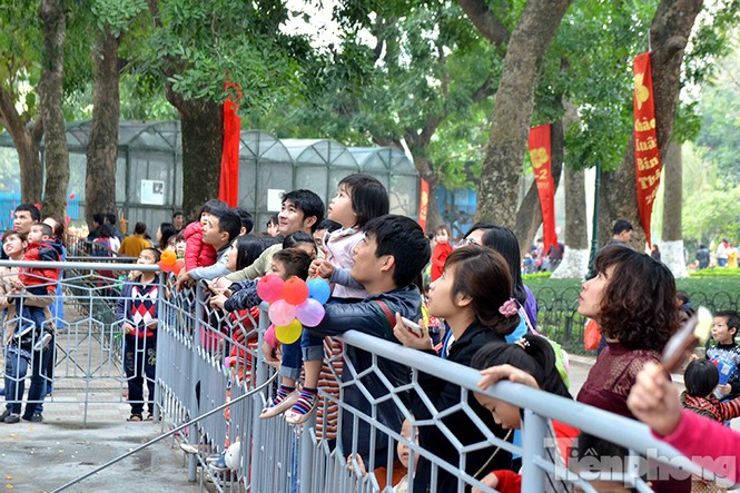 Xếp hàng dài chờ xin chữ ở Văn Miếu ngày Tết - ảnh 10