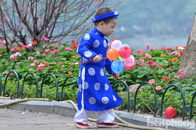 Xếp hàng dài chờ xin chữ ở Văn Miếu ngày Tết - ảnh 3