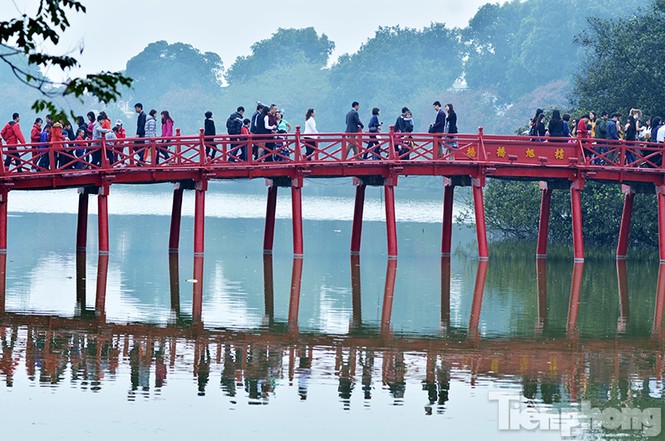 Xếp hàng dài chờ xin chữ ở Văn Miếu ngày Tết - ảnh 4