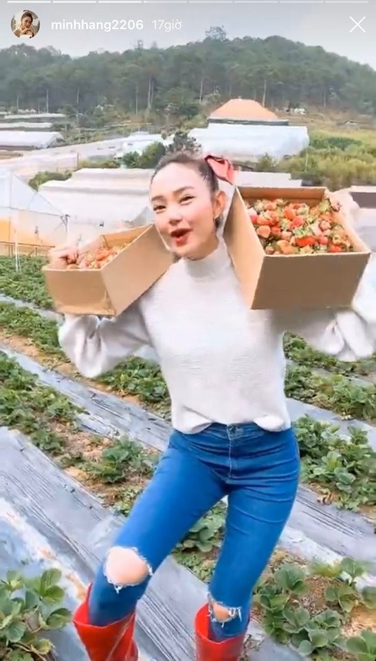 Showbiz Việt 2/5: Trường Giang-Nhã Phương trốn con đi du lịch, Ngọc Trinh sắp lên xe hoa? - ảnh 3
