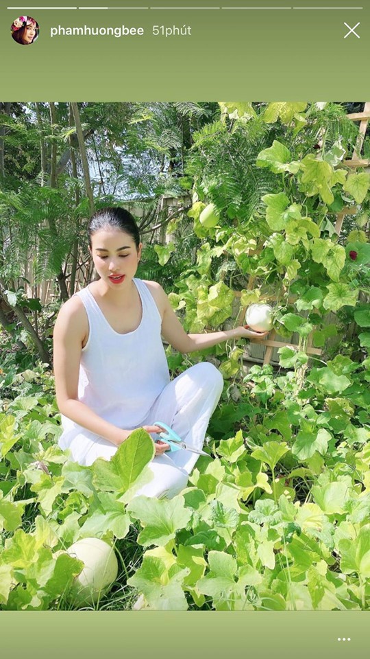 Hương Giang “tình tứ” trên du thuyền cùng bạn trai - ảnh 13