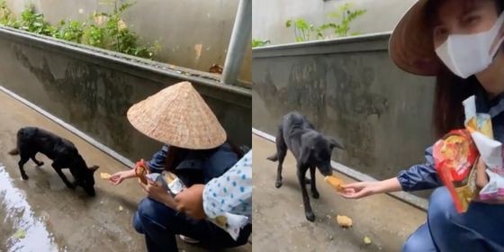 Trác Thuý Miêu bỏ về ngay trước thềm sự kiện; Ngọc Hiền khoe mặt mộc đầy tự tin - ảnh 10