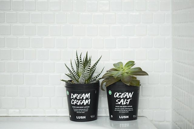 Các tín đồ mỹ phẩm phải làm sao để theo đuổi lối sống plastic-free - ảnh 5