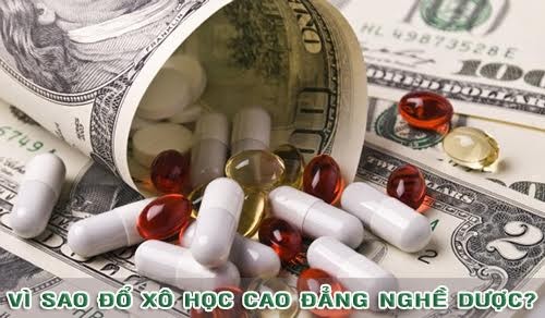 Trường cao đẳng nào đào tạo dược sĩ chuyên nghiệp? - ảnh 2