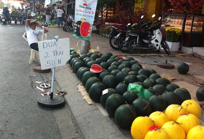Cần Thơ: Dưa, hoa đại hạ giá vẫn ế ẩm - ảnh 3