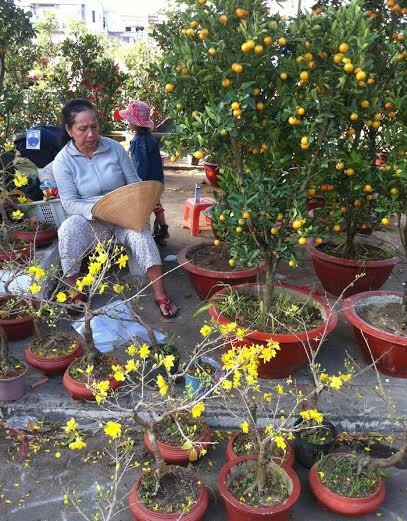 Cần Thơ: Dưa, hoa đại hạ giá vẫn ế ẩm - ảnh 4