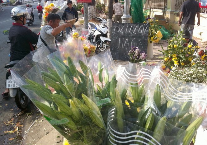 Cần Thơ: Dưa, hoa đại hạ giá vẫn ế ẩm - ảnh 7