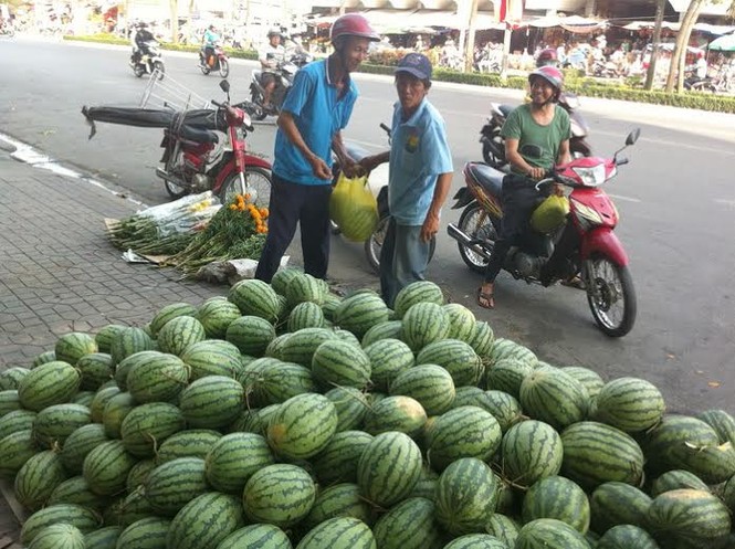 Cần Thơ: Dưa, hoa đại hạ giá vẫn ế ẩm - ảnh 8