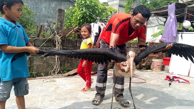 Nông dân bắt được con chim