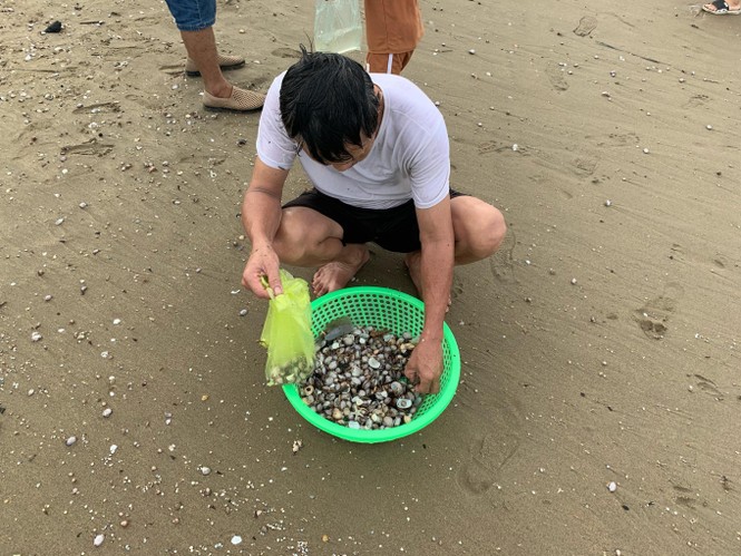 Sau bão Podul, hàng trăm du hào hứng ra bãi biển Cửa Lò nhặt “lộc trời” - ảnh 2