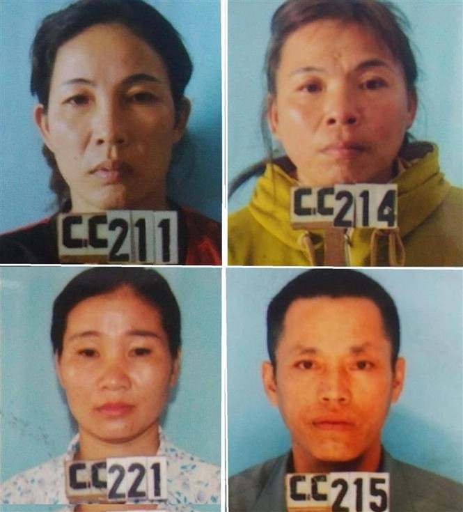 Tạm giữ 4 đối tượng chặt phá hàng ngàn cây keo chỉ để hả giận - ảnh 1