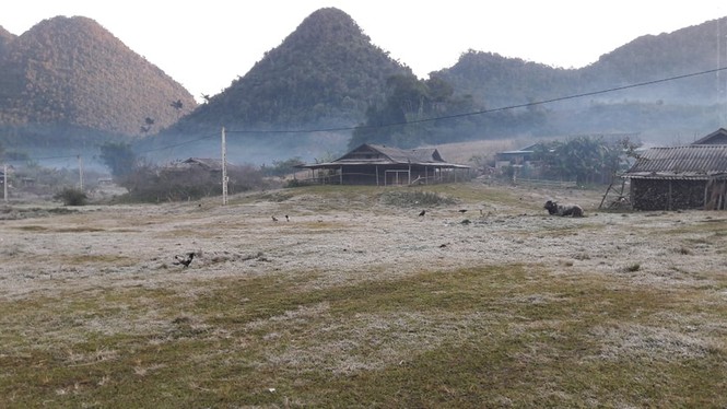 Băng giá phủ kín rừng cây, bãi cỏ ở huyện biên giới Nghệ An - ảnh 8
