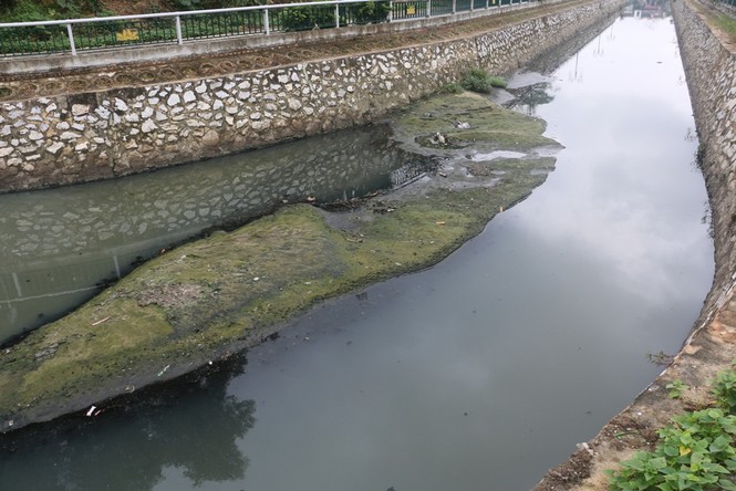 Ô nhiễm nghiêm trọng tại hào Thành cổ Vinh - ảnh 6