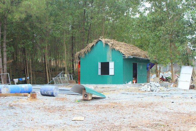 Chủ rừng tự ý xẻ đồi xây khu sinh thái “chui” trên đất lâm nghiệp? - ảnh 4