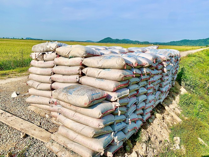  Nhà thầu “bặt vô âm tín”, hàng chục tấn xi măng hóa đá giữa cánh đồng - ảnh 2